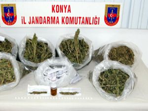 Köfteci Esrarcı Çıktı