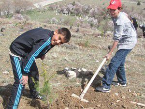 Meramda ağaçlandırma çalışmaları sürüyor