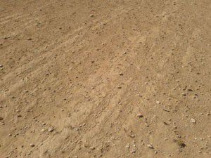 Fırtına, tarım alanlarını olumsuz etkiledi