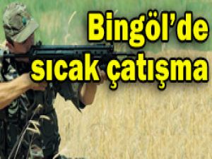 Bingölde çatışma: 2 şehit