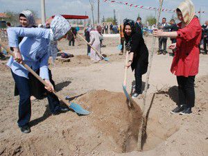 Karatay Belediyesi ağaçlandırmaya devam ediyor