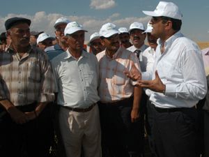 Konyada kanola yüz güldürüyor