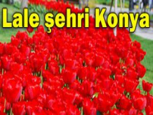 Konya lale ve sakuralarla daha güzel