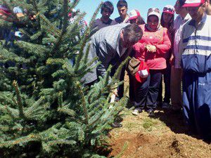 3 bin 800 fidan toprakla buluştu