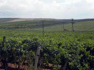 2B başvuruları başladı