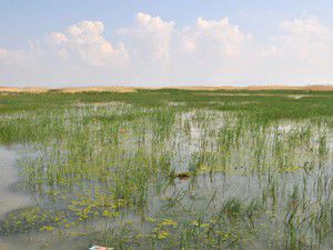 Akşehir Gölü eriyen karlarla tekrar su tutuyor