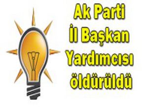 Ak Partili Başkan Yardımcısı öldürüldü