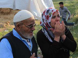 Çalınan büyükbaş hayvanları bulundu