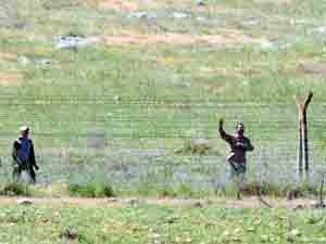 396 Suriyeli Türkiyeye giriş yaptı