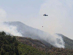 Suriye sınırındaki yangın kontrol altında