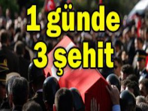 Bir günde 3 şehit haberi!
