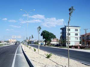 Karapınarda orta refüjlere ağaç dikimi devam ediyor