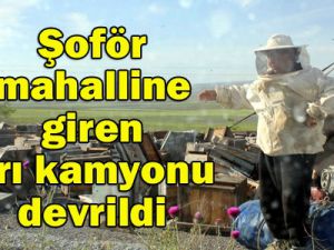 Kraliçeyi bulamayan arılar şehri bastı