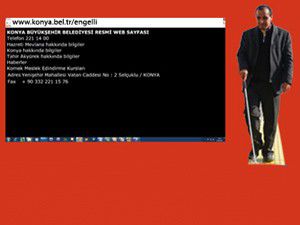 Görme engellilere özel internet sitesi