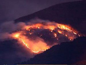 Karabükte orman yangını çıktı