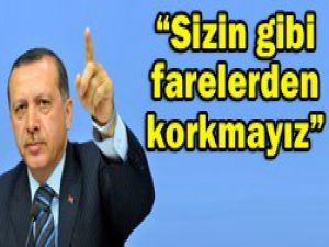 Bu ülkenin aslanları var