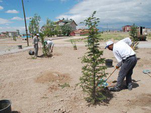 Karatayda park çalışmaları sürüyor