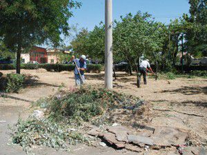 Karatayda yeşil alan bakım çalışması sürüyor