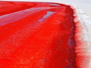 Tuz Gölündeki kızıllığın sırrı çözüldü