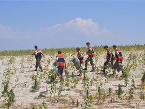 Ereğlide uyuşturucu operasyonu