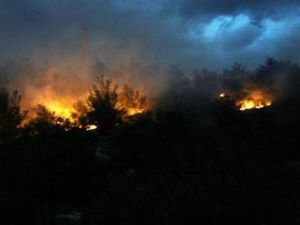 Antalyada orman yangını