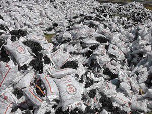 Fakirlere dağıtılacak kömürlerin torbaları dağıldı