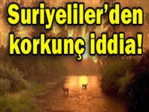 Benzin döküp yakmışlar!