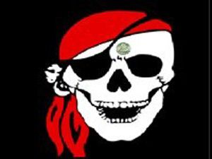 Anonymous, THYnin internet sitesini çökertti