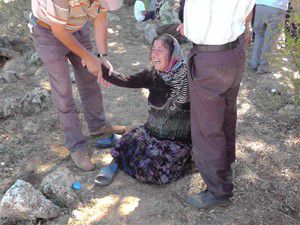 Büyükbaş hayvan bindirilen tekne alabora oldu