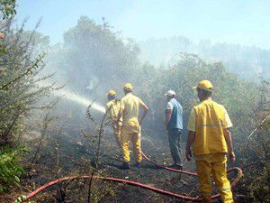 14 ev tamamen yandı