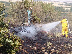 Akşehirde orman yangını