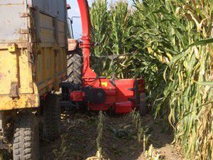 Konyada iş kazası: 1 ölü