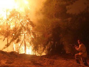 Suriye sınırında orman yangını