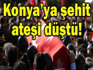 Bingöl şehitlerinde Konyalı da var