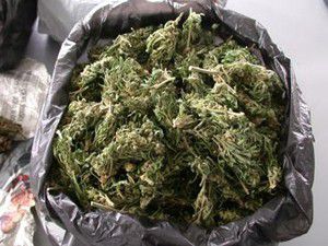 Yolcu otobüsünde 5 kilo esrar çıktı