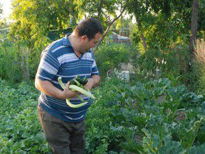 Karatay Hobi Bahçelerinde bağ bozumu başladı
