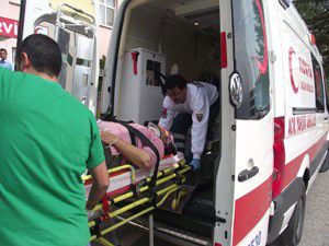 Ceviz ağacından düşüp belini kırdı