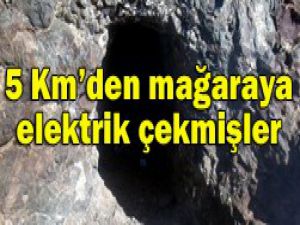 Görenleri hayrete düşüren olay!