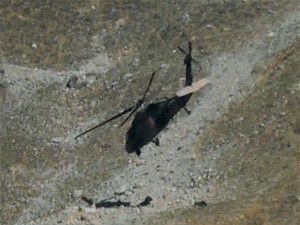 Yaralı teröriste ilk müdahale Mehmetçikten