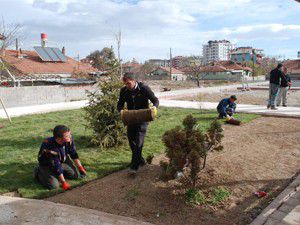 Karatayda yeşillendirme çalışmaları sürüyor