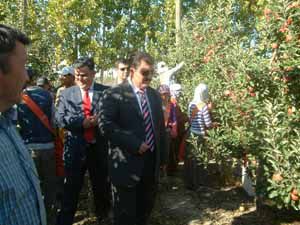 Türkiye nin en büyük meyve bahçesi