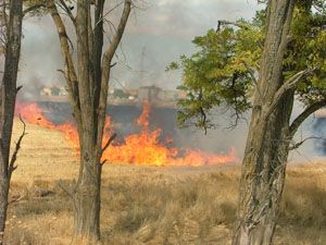 Teneke toplayan çocuklar yangın çıkardı