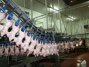 Yılda 32,6 kilogram et tükettik