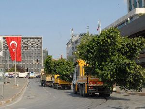 Taksimde ağaçlandırma çalışmaları başladı