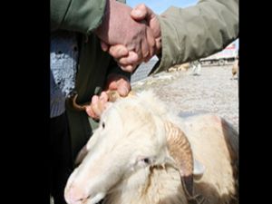 Besiciler, marketlerin taksitli satışından muzdarip