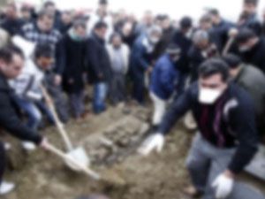 Domuz gribinden ölenlerin sayısı 112 ye yükseldi