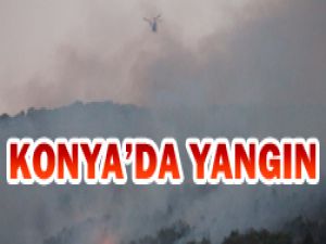 Beyşehirdeki yangın söndürüldü
