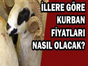 İşte kurbanlık fiyatları
