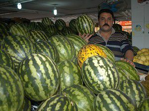 Güz karpuzu sofraları tatlandırıyor