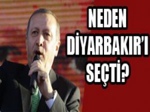 Yalçın Akdoğan açıkladı...